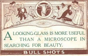 Vintage Postcard 1910's A Looking Glass Is More Useful Than A Microscope Comic