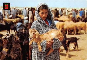 BF291 mercado de ganado maroc lamb chavre goat morocco africa