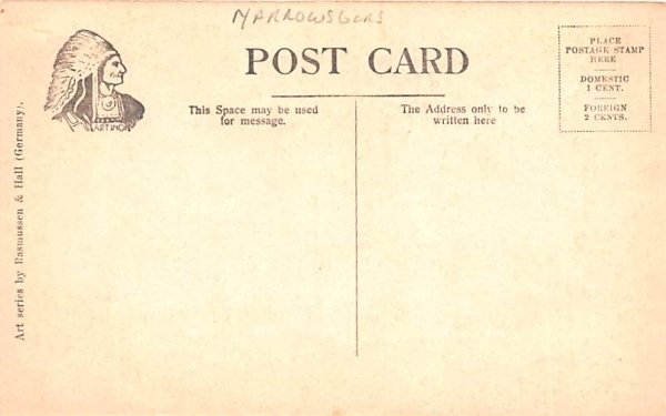 Trees Narrowsburg, New York Postcard