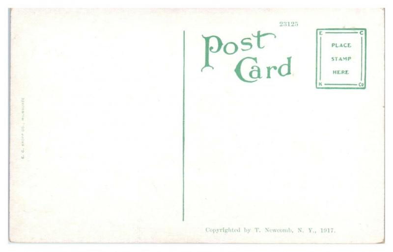 Early 1900s Northwestern Mutual Life Insurance Co. Milwaukee, WI Postcard *5E5
