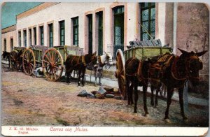 Mexico Mule Carts