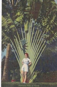 Beautiful Girl With Travelers Palm In Florida