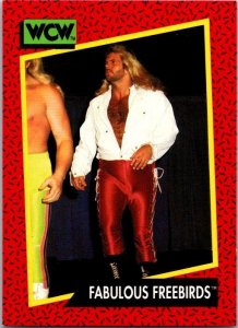 1991 WCW WRestling Card Fabulous Freebirds sk21187