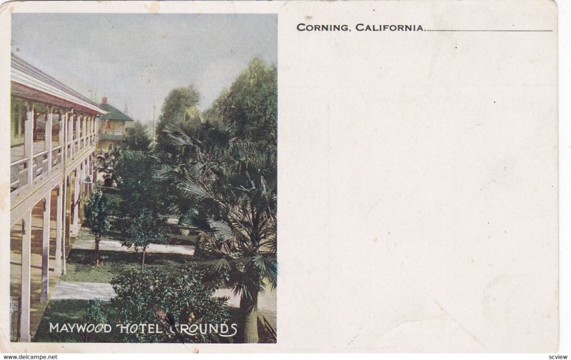 CORNING, California, 1900-1910's; Maywood Hotel Grounds