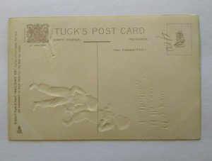 Tucks Halloween Postcard Witch Cauldron Black Arts Crescent Moon 190 Unused 