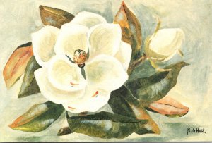 Mississippi State Flower Magnolia Blossom By Mable G Hust