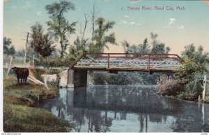 REED CITY , Michigan , 00-10s Hersey River