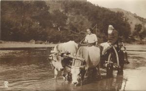 Vintage Postcard Romanian Type Old Man & Girl Ox Cart Ethnic Costume Romania