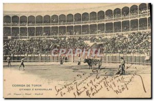 Old Postcard Bullfight Bullfight citando has banderillas