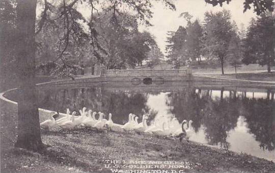 Washington DC The Lake And Geese U S Soldiers Home Albertype