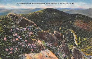 Greybeard, Motor Road Sylva, North Carolina NC Postcard