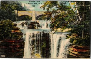 Bridge Over Haines Falls, Catskill Mountains NY c1945 Vintage Postcard B51