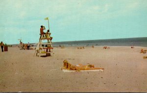 Florida Titusville Playalinda Beach