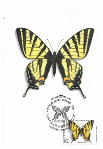 Iphiclides Podalirius Butterfly and Butterfly Stamp 4 by 6