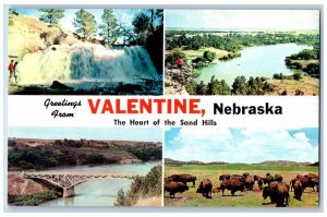 Valentine Nebraska NE Postcard Greetings The Heart Of The Sand Hills Multiview