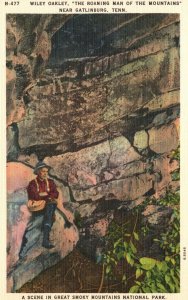 Vintage Postcard 1930's Wiley Oakley Roaming Man of Mountains Near Gatlinburg TN