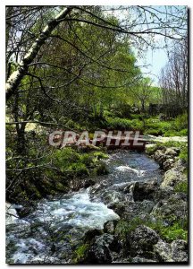 Modern Postcard What a pleasure to listen to streaming cool water of our camp...