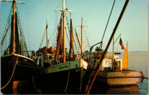 Vtg Shrimp Boats in Florida FL Unused Chrome Postcard