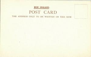 new zealand, Wild Flowers, Hohere Lace Bark Hoheria Populnea (1900s) Postcard