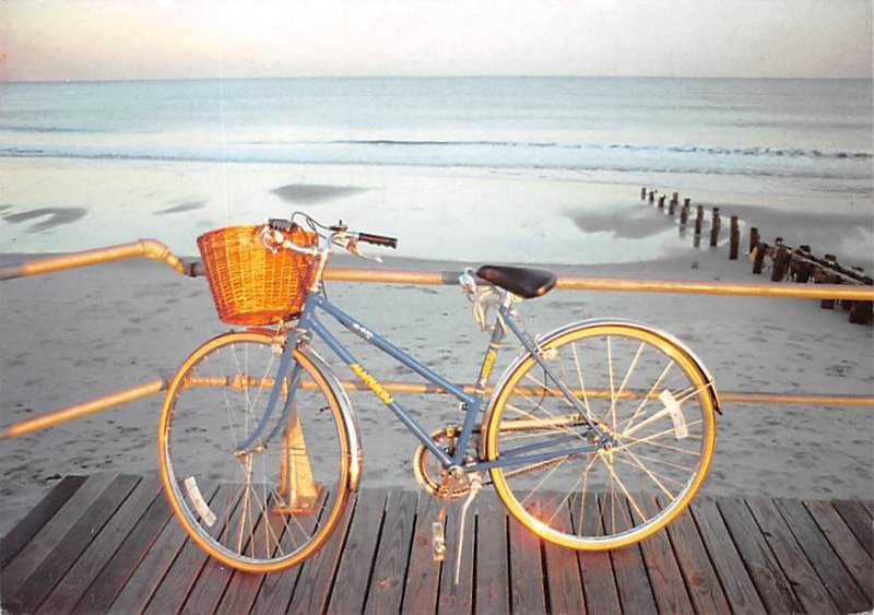 Bike at the Beach Bicycle Unused 