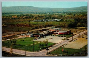 Postcard Collingwood Ontario 1960s Blue Mountain Pottery Birds Eye View Old Cars