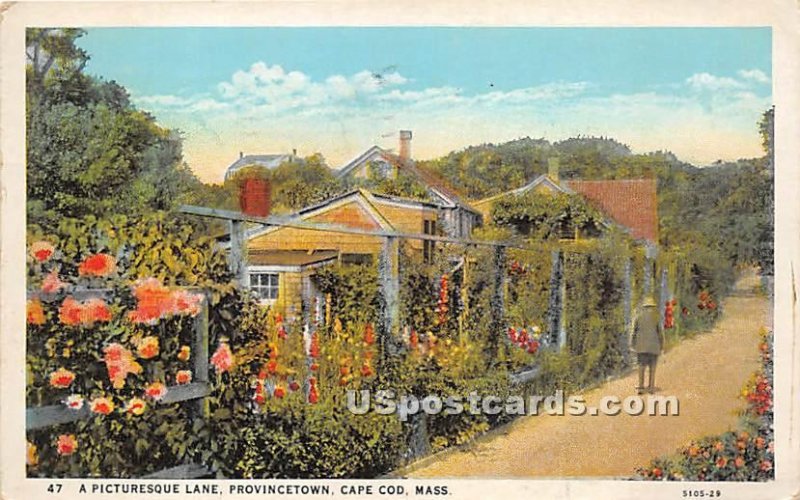 Picturesque Lane in Provincetown - Cape Cod, MA