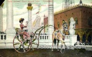 Dreamland Coney Island NY 1908