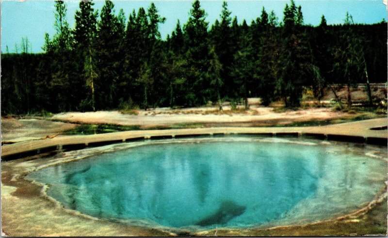 Morning Glory Pool Yellowstone National Park Wyoming Chrome Cancel WOB Postcard 