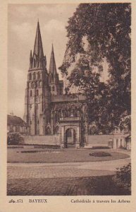 France Bayeaux La Cathedrale a travers les Arbres