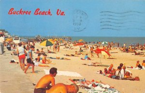 Buckroe Beach Virginia Beach Scene Vintage Postcard AA56485