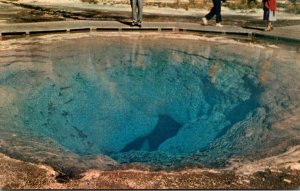 Yellowstone National Park Morning Glory Pool 1966