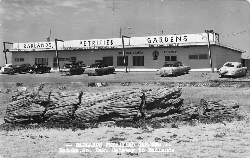 Kadoka South Dakota Badlands Petrified Forest 1950s RPPC Photo Postcard 21-10734