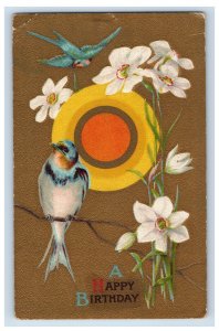 Circa 1910 Birthday Birds Flowers Bull's eye Vintage Postcard P108E