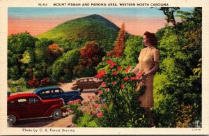 Vtg North Carolina NC Mount Pisgah and Parking Area Cars 1940s Linen Postcard