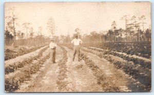 RPPC GALESBURG, IL Illinois ~ FARM SCENE ~ 2 MEN Standing in FIELD 1913 Postcard