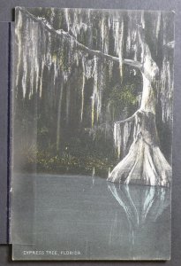 Cypress Tree, Florida - 1910 Flag Cancel