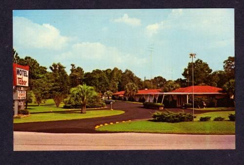 FL Motel Tabor GAINESVILLE FLORIDA PC Postcard