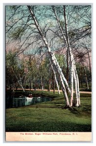 The Birches Roger Williams Park Providence Rhode Island RI UNP DB Postcard E17