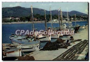 Modern Postcard The French Riviera Var Surroundings of Hyeres Var Carqueirann...