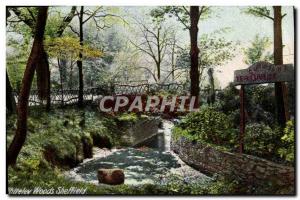 Postcard Old Whiteley Woods Sheffield