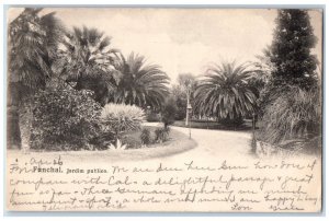 1907 Funchal Public Garden Madeira Island Portugal Antique Posted Postcard