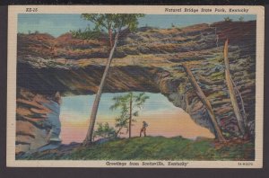Kentucky ~ Greetings from Scottsville - Natural Bridge State Park - LINEN