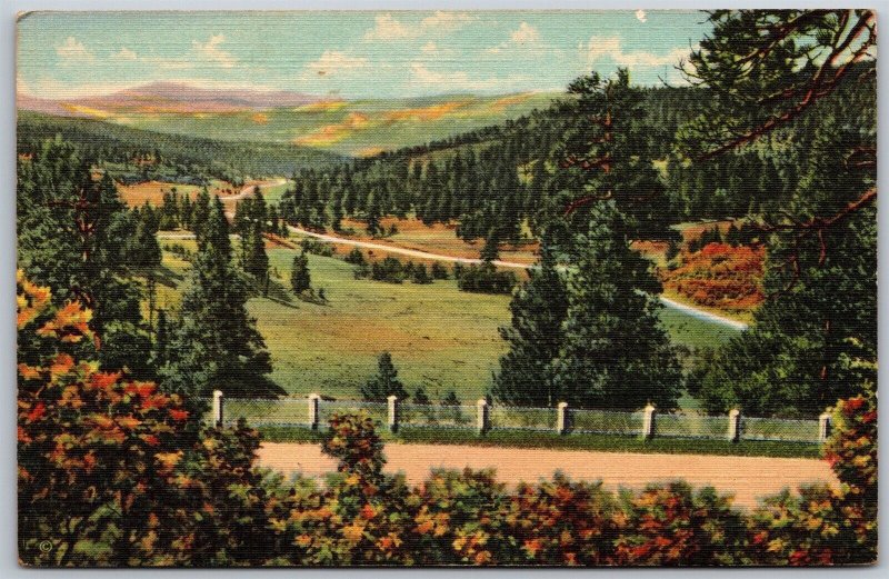 Vtg New Mexico NM Taos Canyon from Palo Flechado Pass 1930s View Linen Postcard