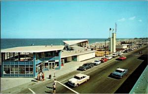 Hampton Beach NH Sea Shell Vintage Postcard M18