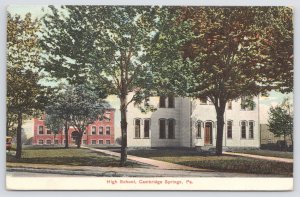 View Through Trees~Cabridge Springs Penn~High School Bldg~Lithochrome~PM 1909 PC