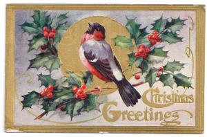 Winter Bird Holly Embossed Gold Gilt Vintage Christmas Postcard