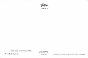 Arizona's Gambel Quail - 