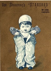 1880s USE SHANEMAN'S STANDARD FLOUR VICTORIAN TRADE CARD P131