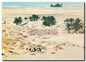 Postcard Modern Tunisia The Great South