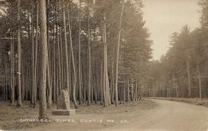 Eustis ME Cathedral Pines Monument Eastern Illustrating Real Photo Postcard